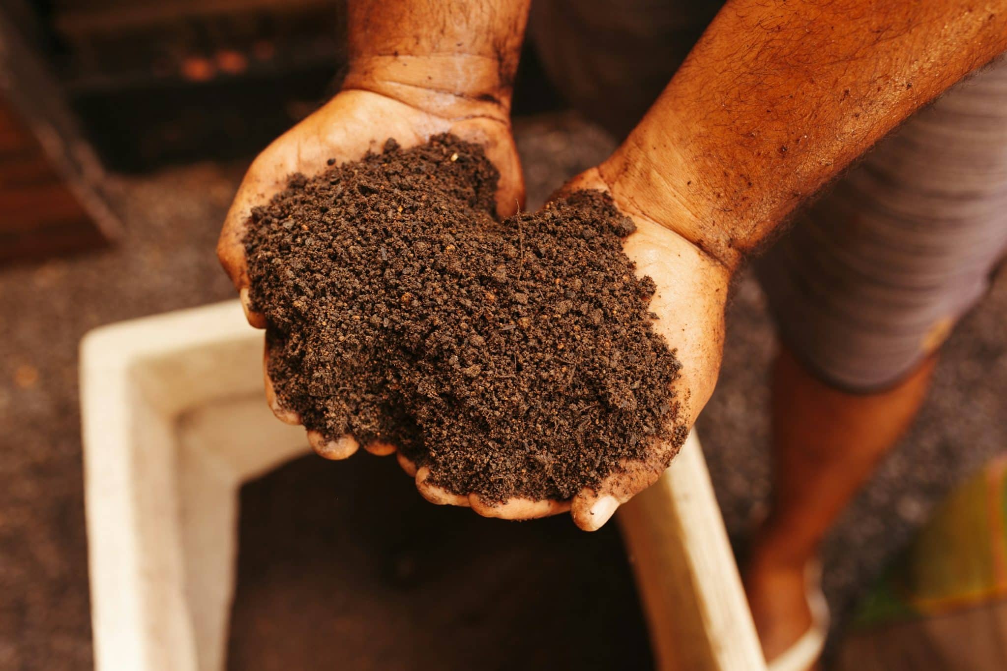 Person holding a large handful of dark, rich soil over a container, with visible dirt stains on their arms and clothes, demonstrating what soil to avoid for isopods.