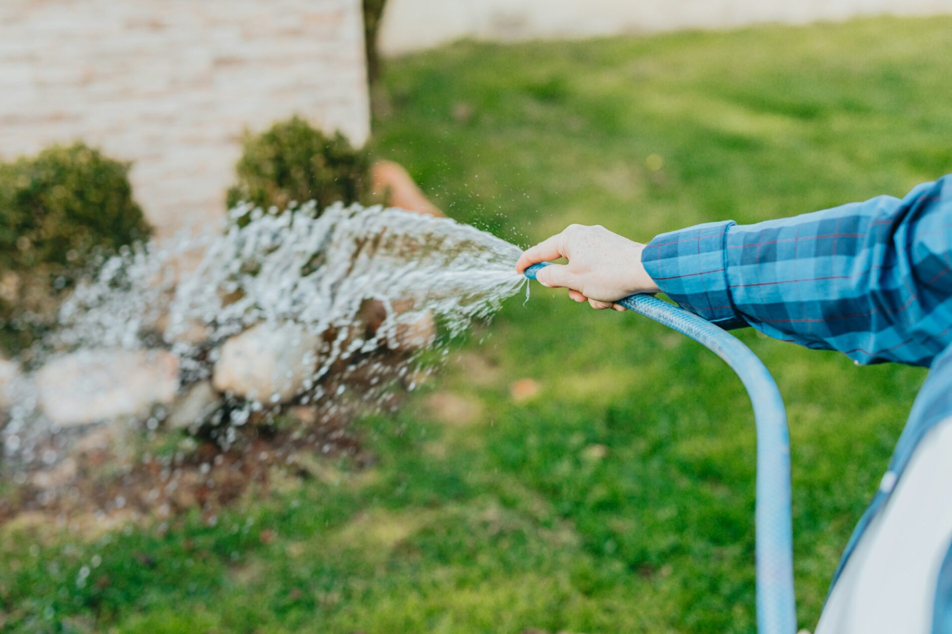 Person watering plants with a garden hose using EZ-FLO for fertigation and balancing nutrients.
