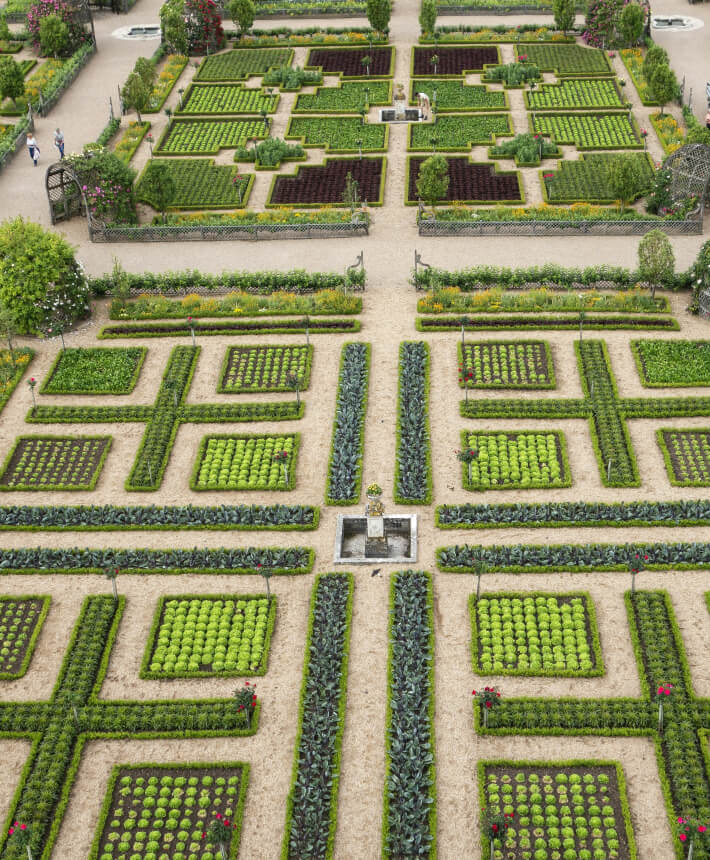 An aerial view of a formal garden with symmetrical planting beds and walking paths.