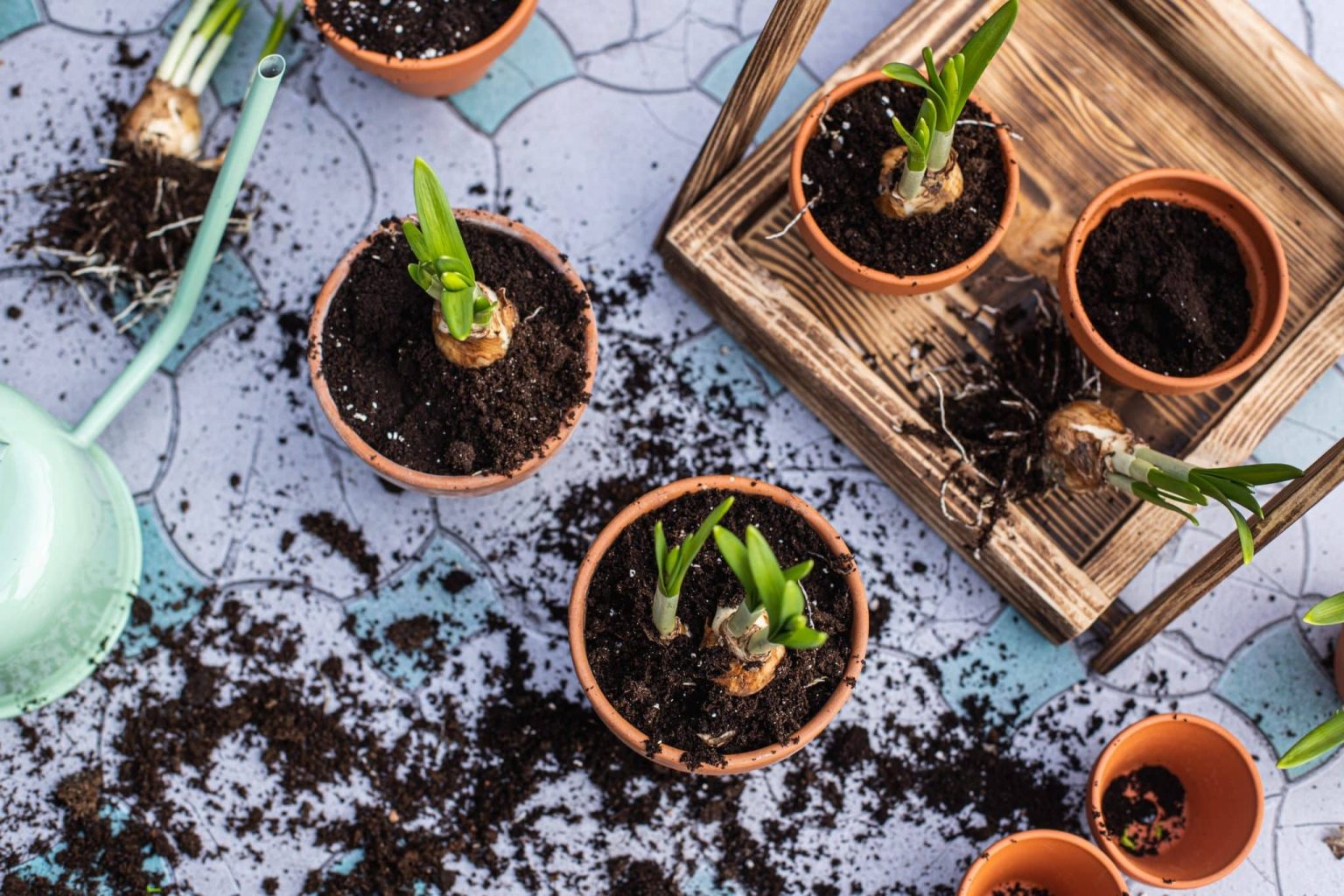 Is Soil Homogeneous or Heterogeneous? The Science Explained