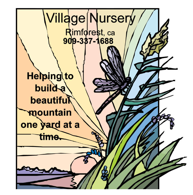 Village nursery