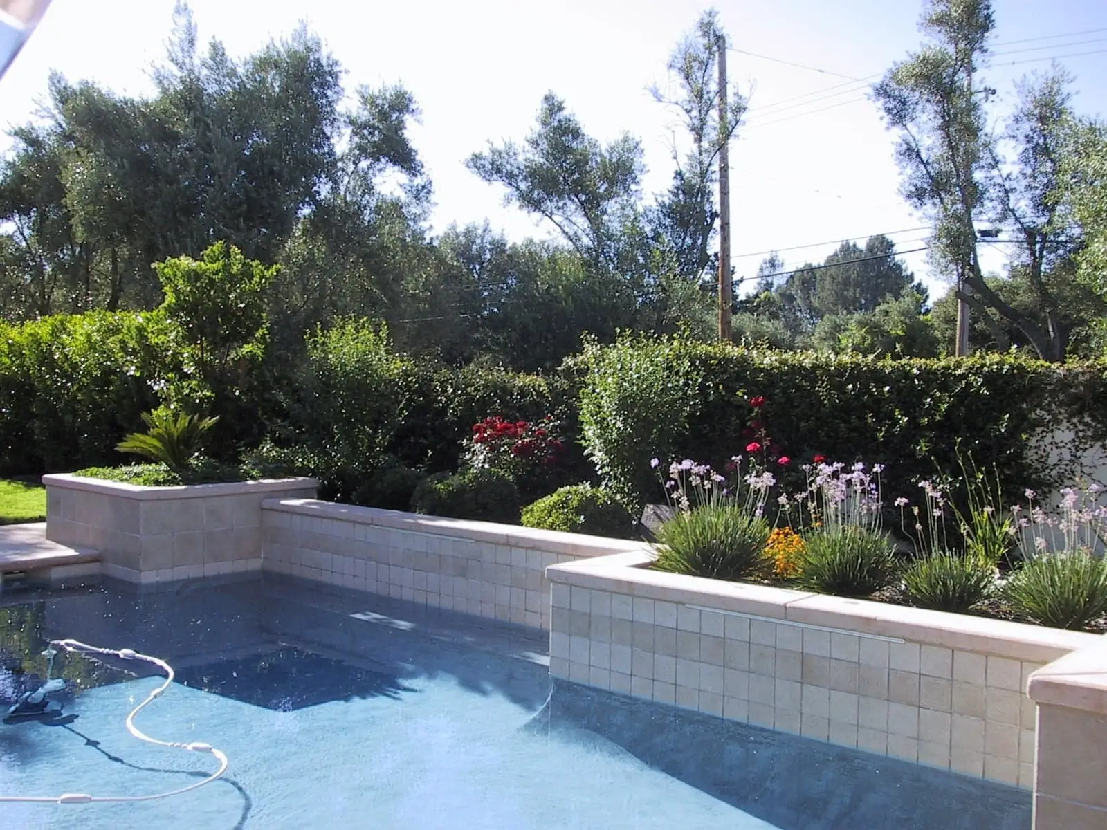 A backyard swimming pool with clear water is bordered by a tiled wall and surrounded by green bushes, flowers, and trees under a bright sky.