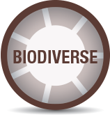 Biodiverse logo on a white background.