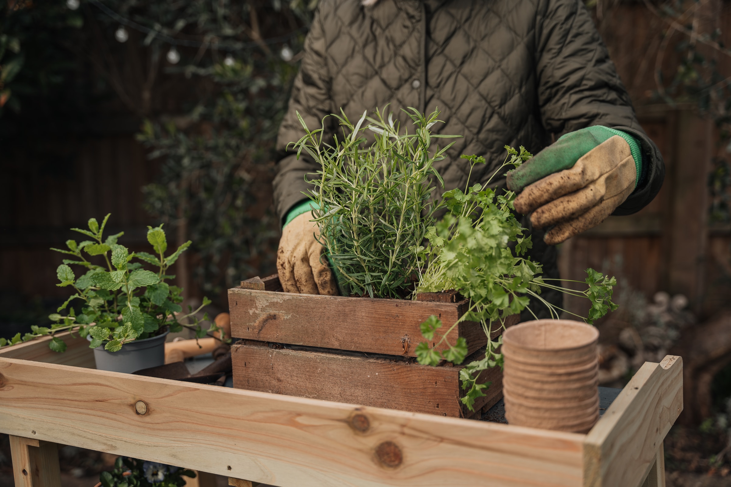 A man is putting plants on a wooden tray to grow his green thumb.