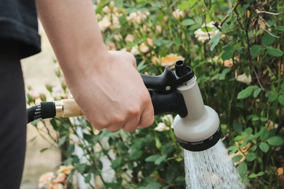 A person waters garden plants using a hose with a spray nozzle.