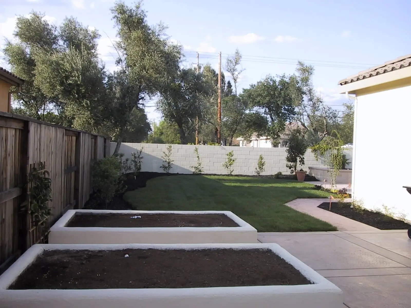 A backyard with two raised garden beds, a grassy lawn, a wooden fence on the left, and a white wall with trees and shrubs in the background.