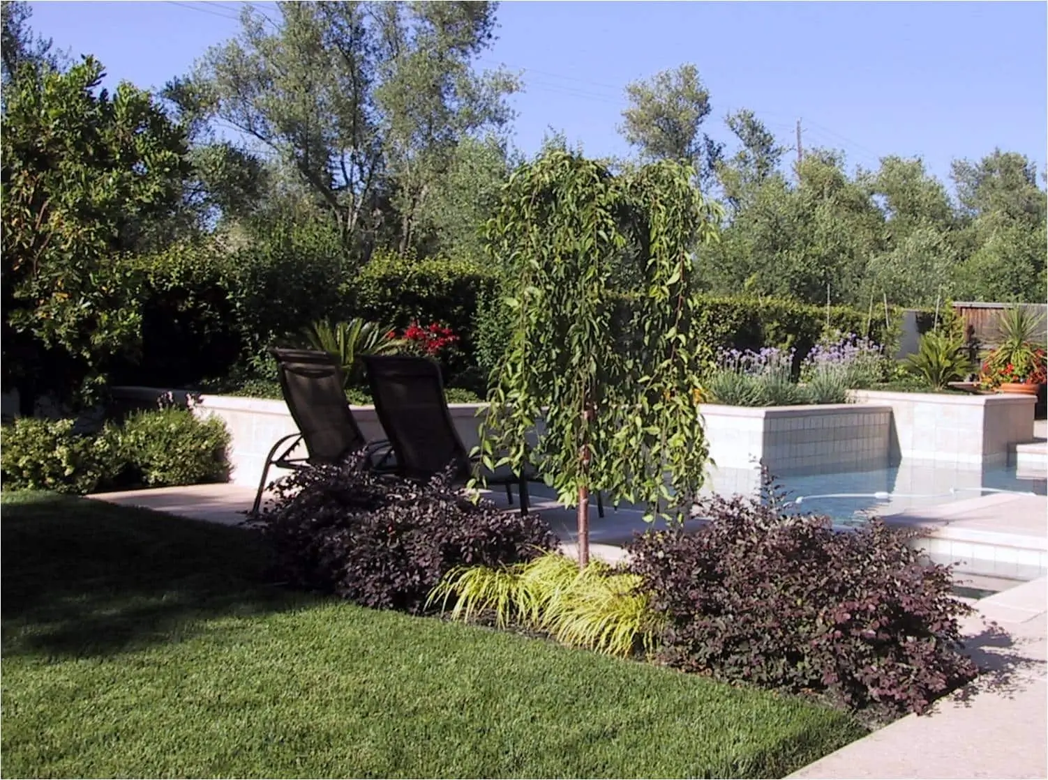 Two black lounge chairs sit next to a swimming pool surrounded by lush green shrubs, trees, and manicured grass under a clear sky.