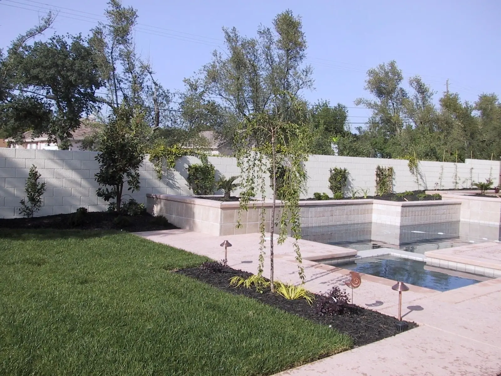 A backyard with a rectangular pool, raised planters, young trees, manicured lawn, small shrubs, and a white block privacy wall in the background.