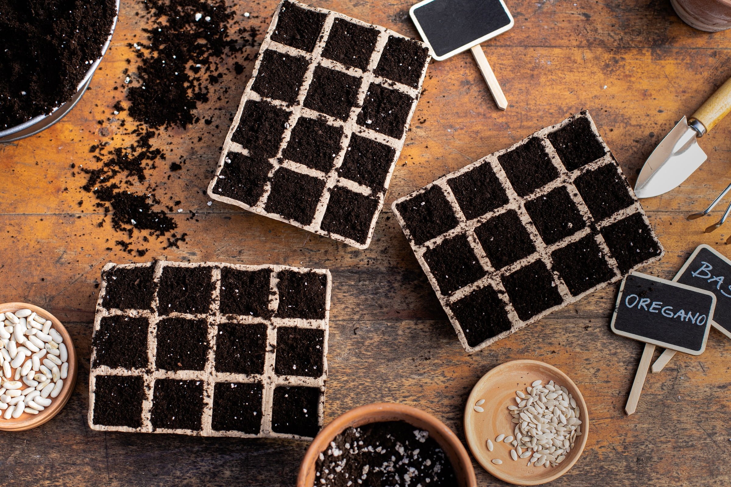 A comprehensive guide on sterilizing soil before planting seeds in seed trays on a wooden table.
