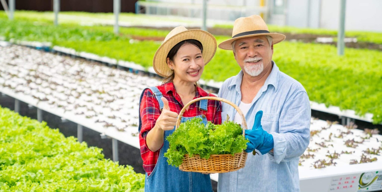 Best Soil for Vegetable Gardens: Types, Mixes and Preparation