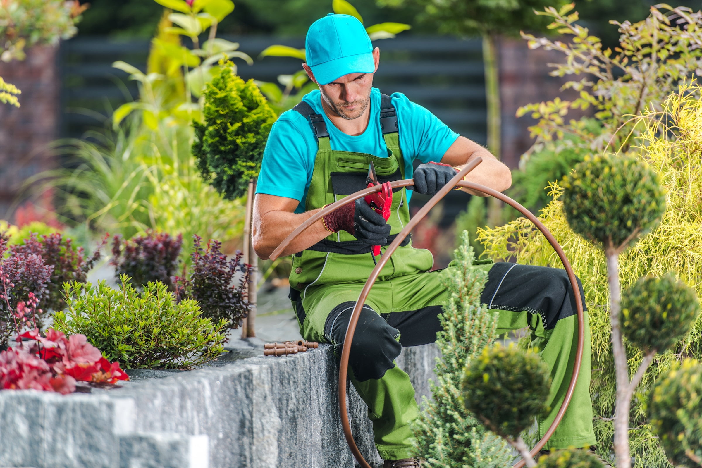 A gardener utilizing a hose for fertigation in a garden.