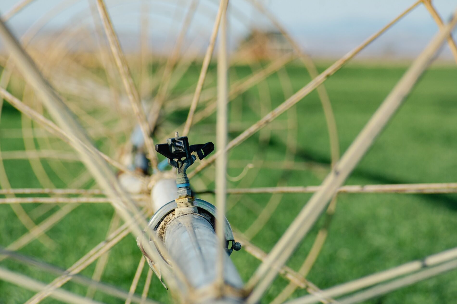 A close up of a water pipe in a furrow irrigation field.