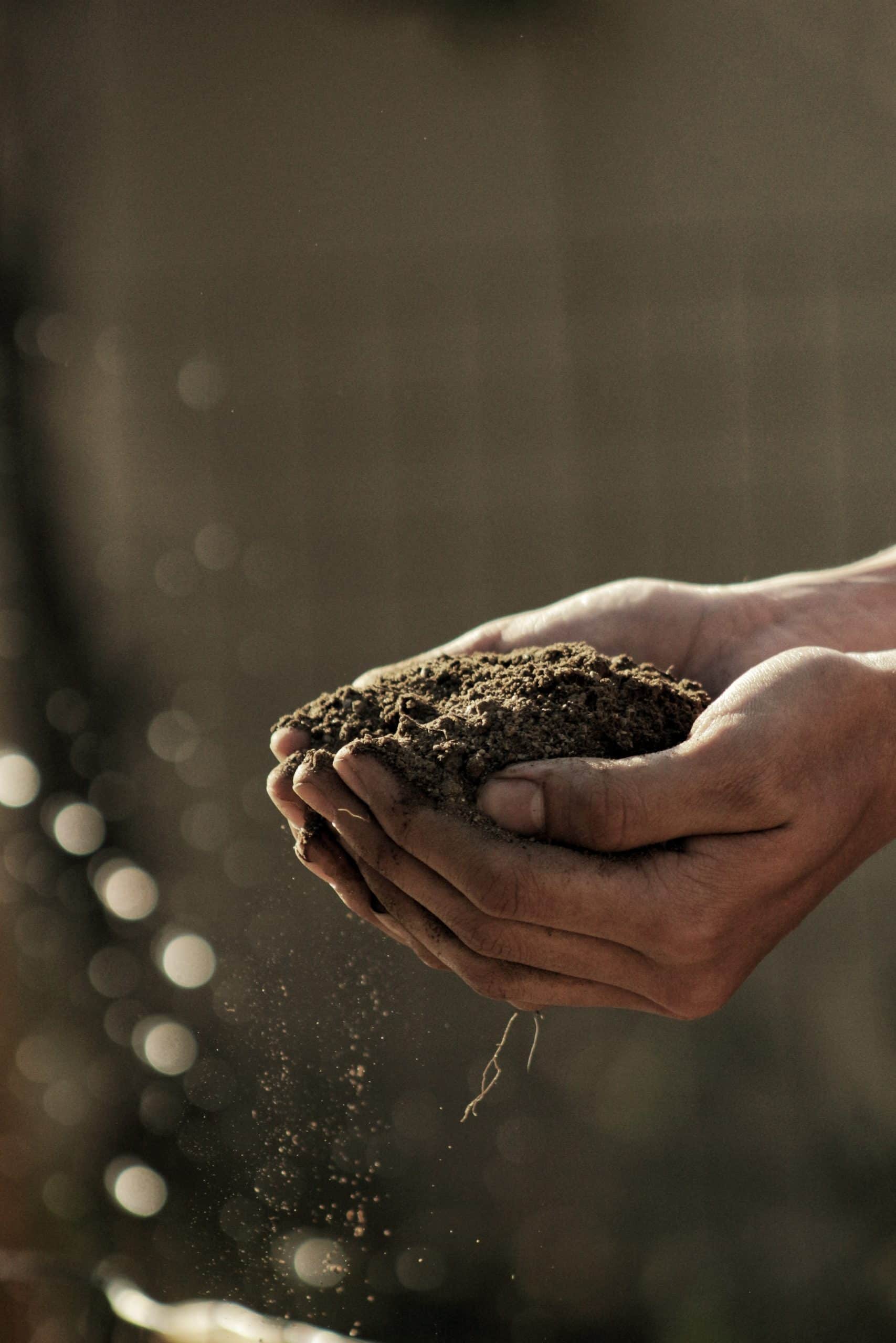 what is loam soil